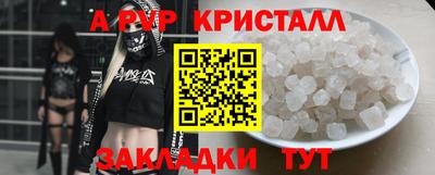индика Владимир