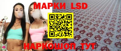 индика Владимир