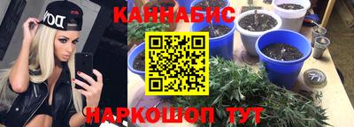 индика Владимир