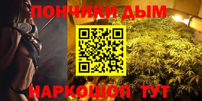 индика Владимир