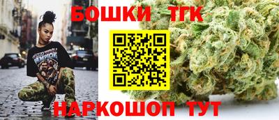 индика Владимир
