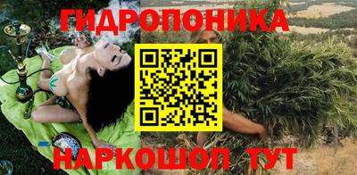 индика Владимир