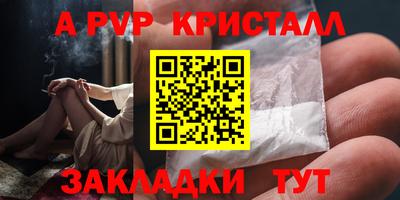 индика Владимир